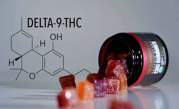 Delta 9 Gummies
